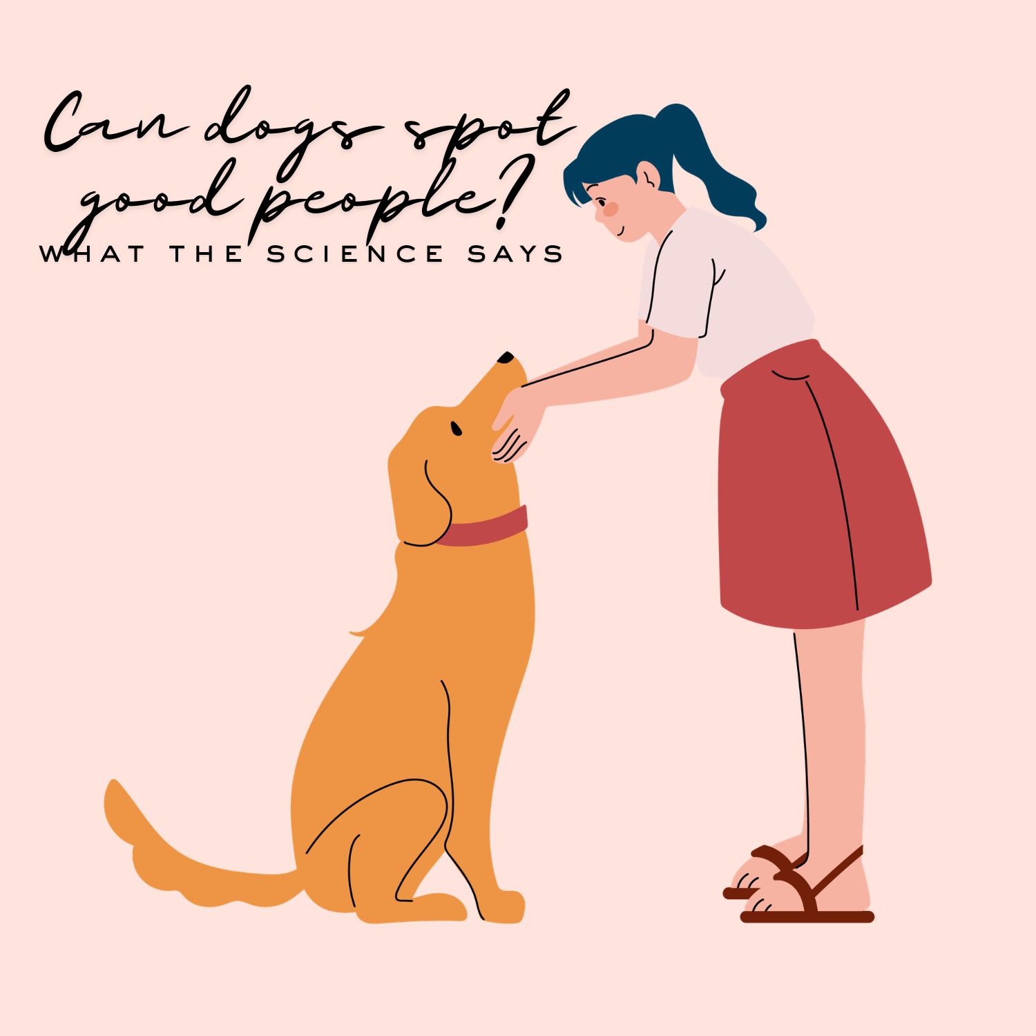Can Dogs Really Tell If You're a Good Person?