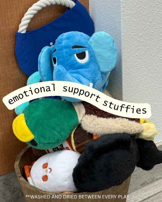 Emotional Support Stuffie
