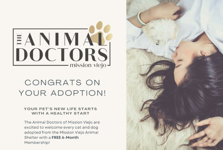 Adopted Pet