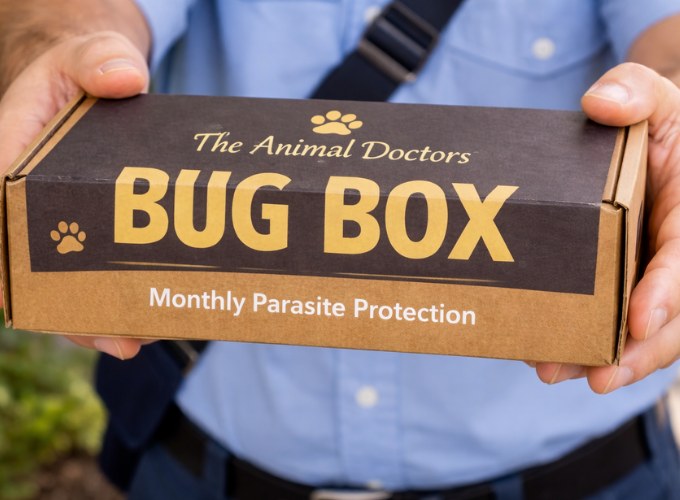 Bug Box