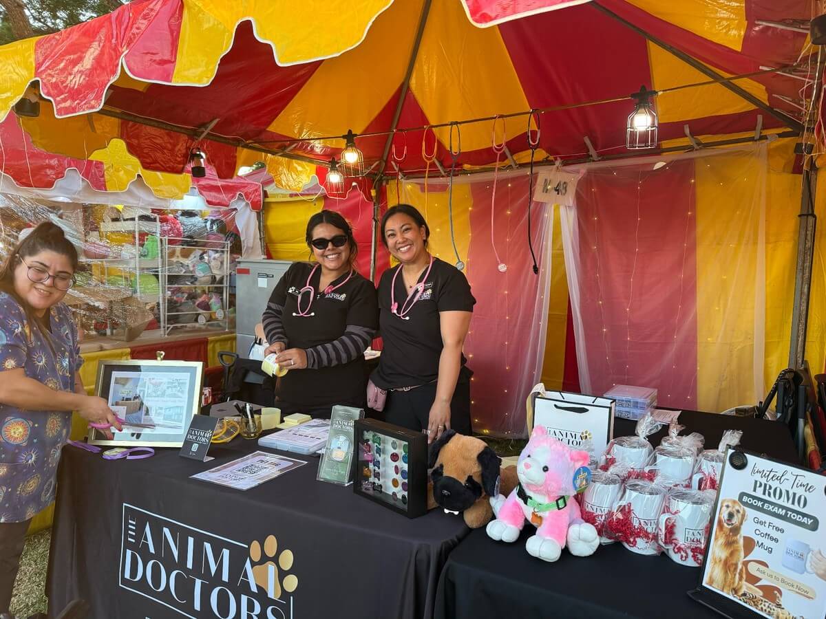 Pet Expo