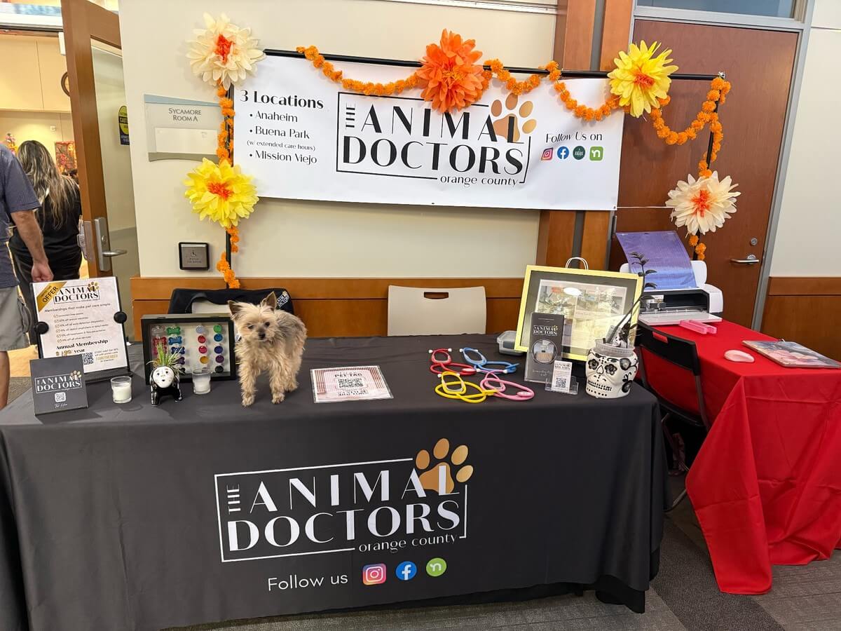 Pet Expo 2