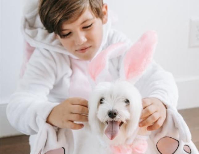 Easter Pet Safety: A Veterinary Deep Dive into Holiday Risks