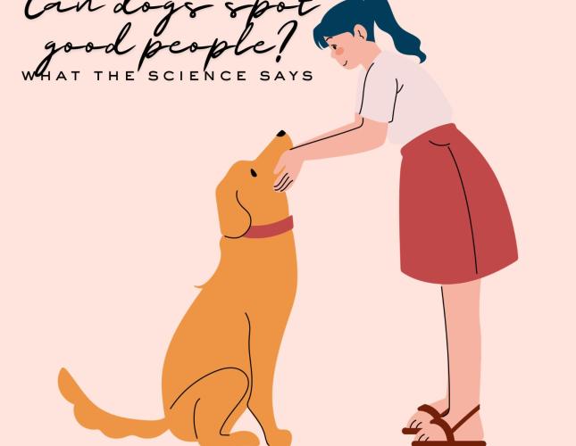 Can Dogs Really Tell If You're a Good Person?