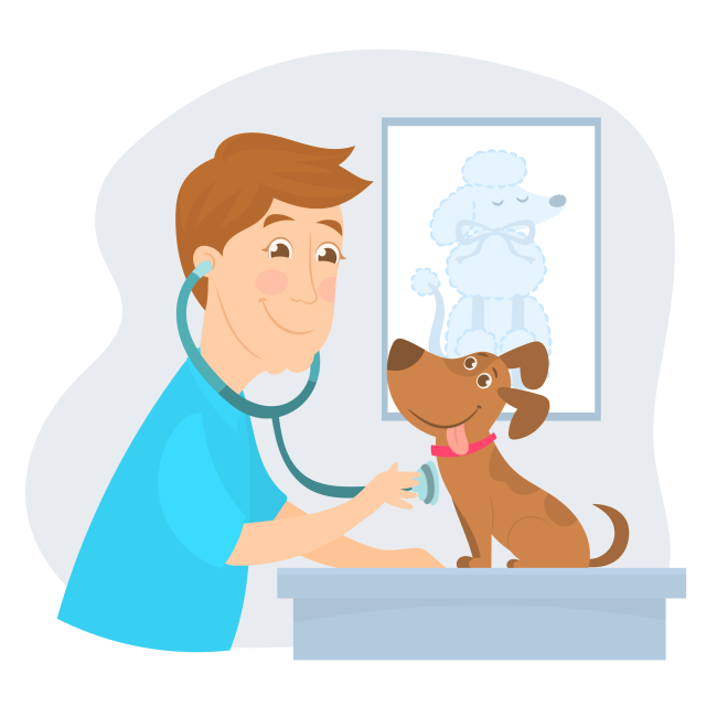 Pet Preventative Care in Orange County