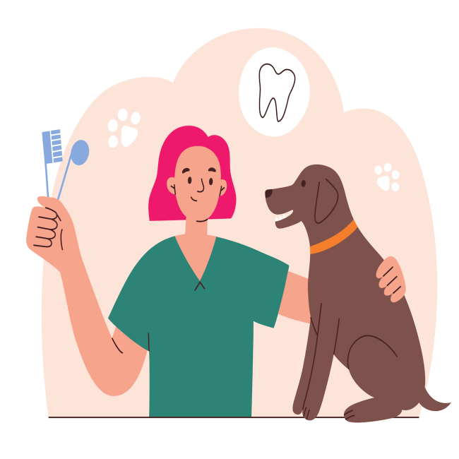 Pet Dental Care in Orange County