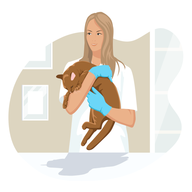Pet Emergency Care in Orange County