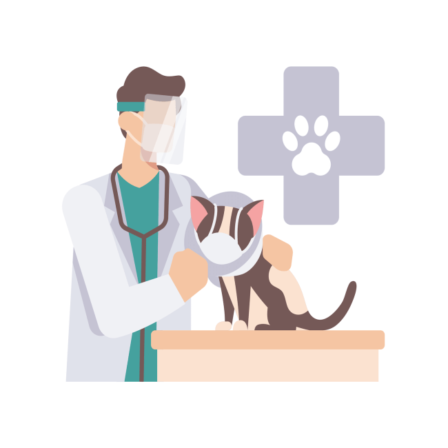 Spay and Neuter in Orange County